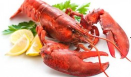 龙虾最新爆料新闻视频